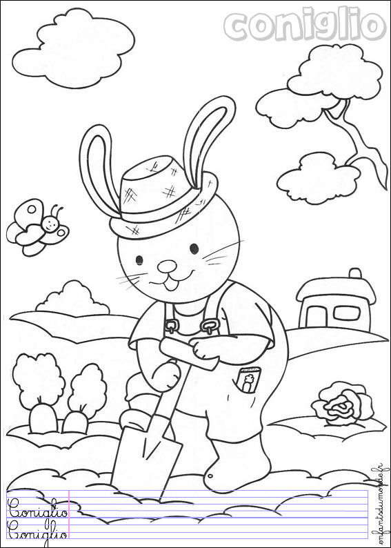 coloriage lapin 4